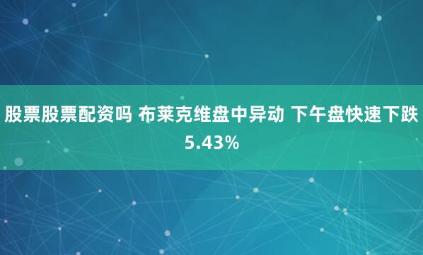 股票股票配资吗 布莱克维盘中异动 下午盘快速下跌5.43%