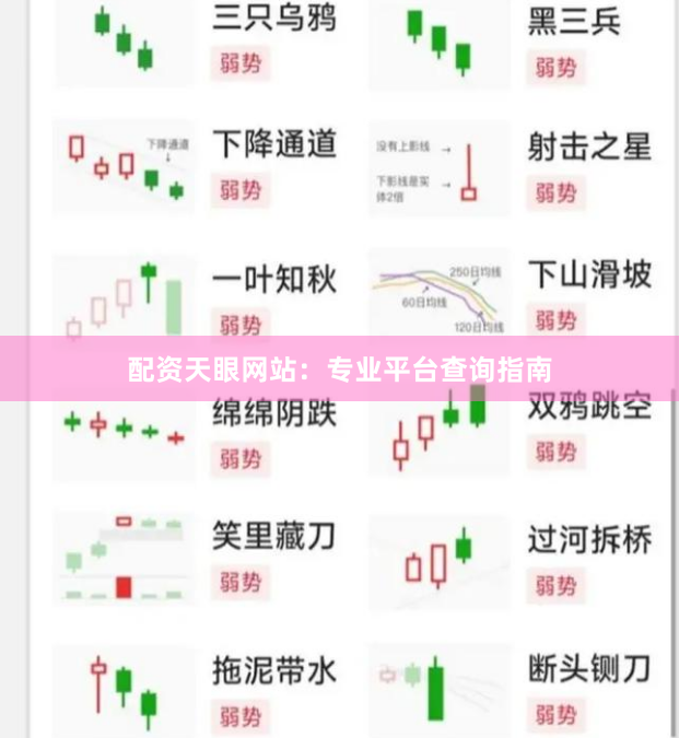 配资天眼网站：专业平台查询指南